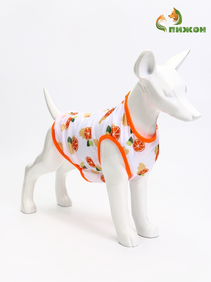 Футболка для животных «Апельсинка», размер M, ДС 30, ОГ 42 см - Фото 1
