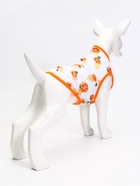 Футболка для животных «Апельсинка», размер S, ДС 25, ОГ 38 см - Фото 2