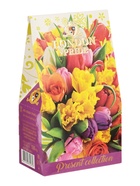 Чай «Лондон Прайд: Подарочная коллекция», 100 г - Фото 6