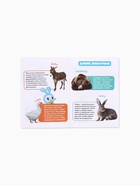 Набор мини - энциклопедий «Малышарики», 4 шт. по 20 стр., 12×17 см 10941532 - фото 9005063