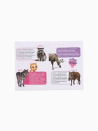 Набор мини - энциклопедий «Малышарики», 4 шт. по 20 стр., 12×17 см 10941532 - фото 9005064