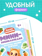 Набор мини - энциклопедий «Малышарики», 4 шт. по 20 стр., 12×17 см 10941532