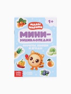 Набор мини - энциклопедий «Малышарики», 4 шт. по 20 стр., 12×17 см 10941532 - фото 9005051