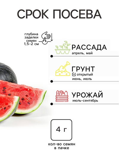 Семена Арбуз Астраханский Агроуспех Много-Выгодно 4г (120)