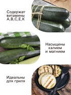 Семена Кабачок Белоплодный Агроуспех Много-Выгодно 10г (100) - Фото 3