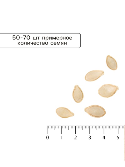 Семена Кабачок «Белоплодный», 10 г, «Агроуспех»