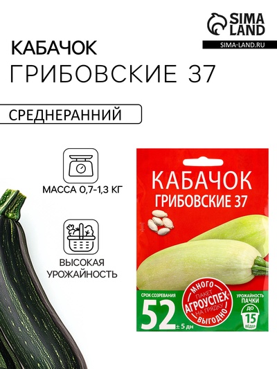 Семена Кабачок «Грибовский 37», 10 г, «Агроуспех»