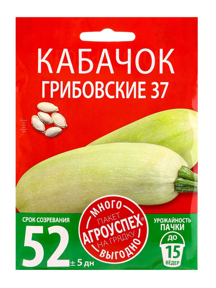 Семена Кабачок Грибовский 37 Агроуспех Много-Выгодно 10г (100) - Фото 1