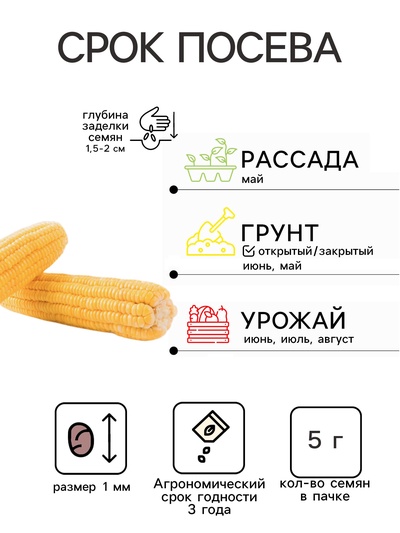Семена Кукуруза «Кубанская консервная 148», «Агроуспех», 5 г