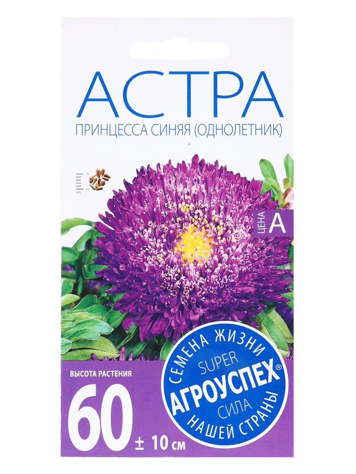 Семена цветов Астра «Принцесса темно-синяя», 0.3 г, «Агроуспех» - Фото 1