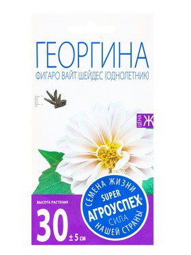 Семена цветов Георгина Фигаро Вайт Шейдес Агроуспех 7шт (400)