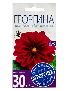 Семена цветов Георгина Фигаро Виолет Шейдес Агроуспех 7шт (400)