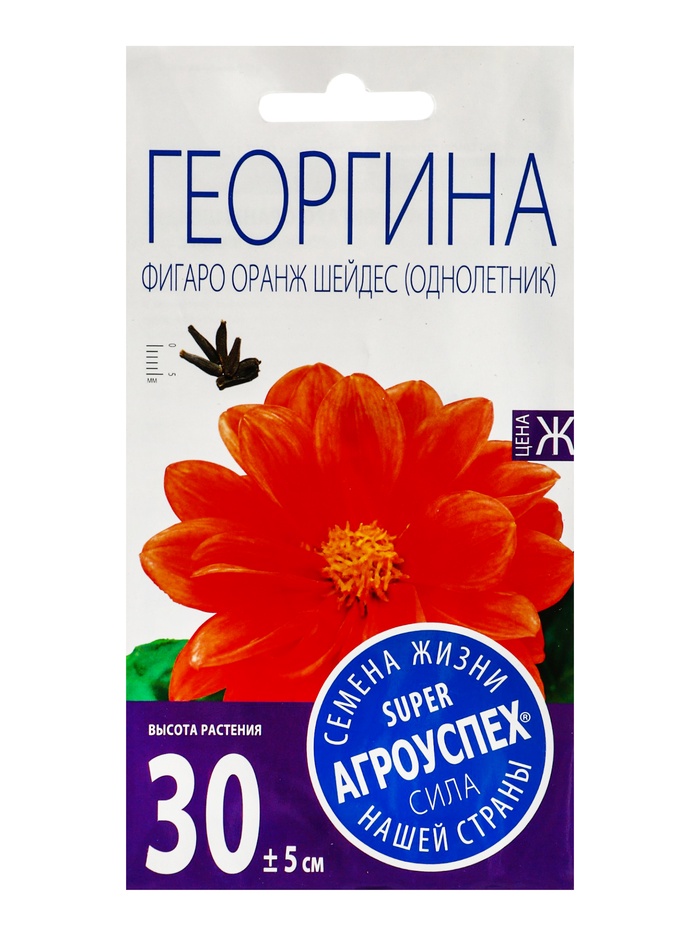 Семена цветов Георгина Фигаро Оранж Шейдес Агроуспех 7шт (400) - Фото 1