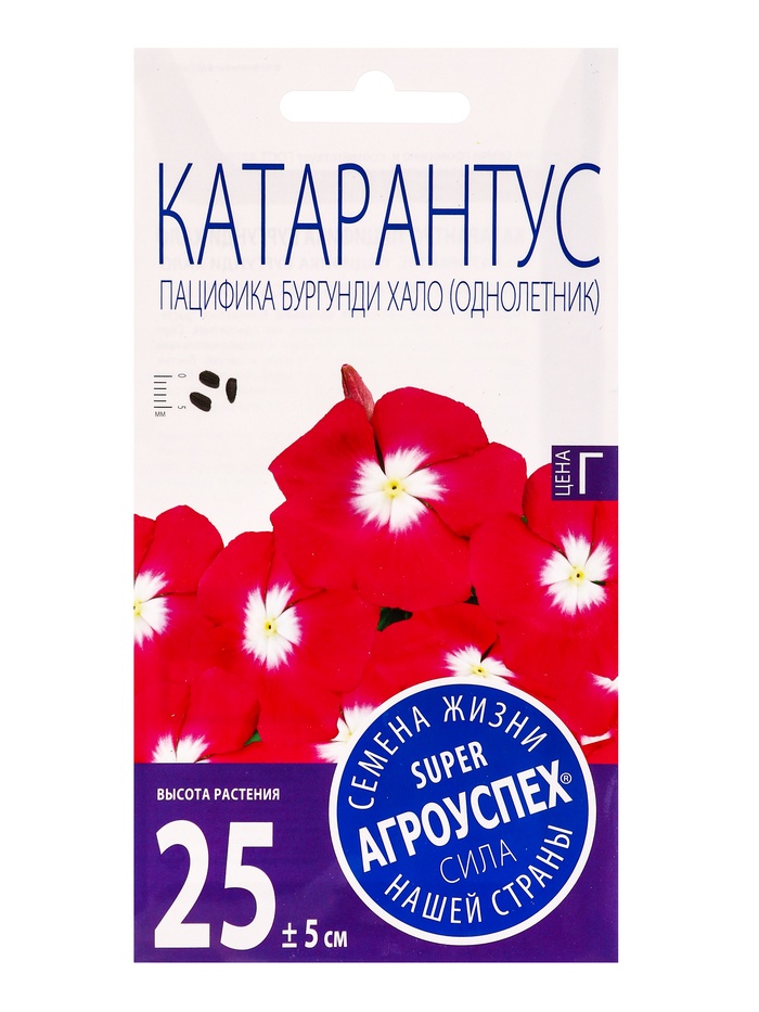 Семена цветов Катарантус Пацифика Бургунди Хало Агроуспех 7шт (500) - Фото 1