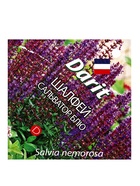 Семена цветов Шалфей дубравный Сальватор Блю Дарит 7шт - Фото 1