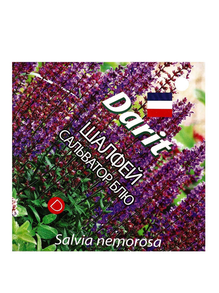 Семена цветов Шалфей дубравный Сальватор Блю Дарит 7шт - Фото 1