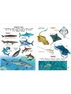 Лучшая энциклопедия для детей, 128 стр.  (артикул 10985287)  большой выбор товаров оптом и в розницу по низким ценам с доставкой