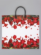 Пакет «Гран При», полиэтиленовый с пластиковой ручкой, 38×34 + 3 см, 90 мкм - Фото 1