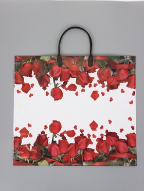 Пакет «Гран При», полиэтиленовый с пластиковой ручкой, 38×34 + 3 см, 90 мкм