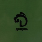 УЦЕНКА Блюдо сервировочное с ручками «Лист» 29×22.8×3.3 см - Фото 5