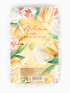 Подарочный набор, ручка шариковая, блок бумаги отрывной, 30 л. «Лучшей в мире» - Фото 7