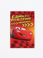 Открытка «С днём рождения, чемпион!», 12 × 18 см 10926299