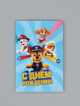 Открытка поздравительная «Пёсики», 12 × 18 см  (артикул 10926309)  большой выбор товаров оптом и в розницу по низким ценам с доставкой