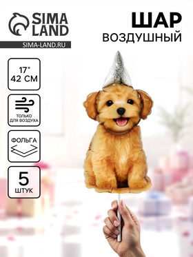 {{photo.Alt || photo.Description || 'Воздушный шар фольгированный 17" «Пёсик в колпачке», набор 5 шт.'}}