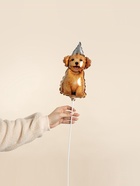 Воздушный шар фольгированный 17" «Пёсик в колпачке», набор 5 шт.  (артикул 10986531)  большой выбор товаров оптом и в розницу по низким ценам с доставкой