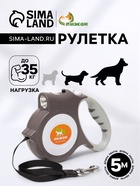 УЦЕНКА Рулетка "Пижон" с фонариком, прорезиненная ручка, 5 м, серая 10990965