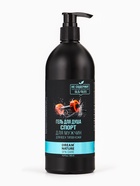 УЦЕНКА Подарочный набор мужской DREAM NATURE SPA CARE "Сила льда": шампунь 2 в 1 и гель для душа,109 - Фото 11