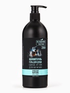 УЦЕНКА Подарочный набор мужской DREAM NATURE SPA CARE "Сила льда": шампунь 2 в 1 и гель для душа,109 - Фото 8