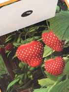 Книга с окошками «Ароматные стишки», 20 стр., Маша и Медведь  (артикул 10903621)  большой выбор товаров оптом и в розницу по низким ценам с доставкой