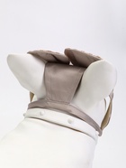 Панама для собак и кошек, размер L, ОГ 44 см, высота 13.5 см, бежевая  (артикул 10952042)  большой выбор товаров оптом и в розницу по низким ценам с доставкой