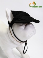 Кепка для собак и кошек, размер L, ОГ - 44 см, высота 13.5 см, чёрная - фото 809494521