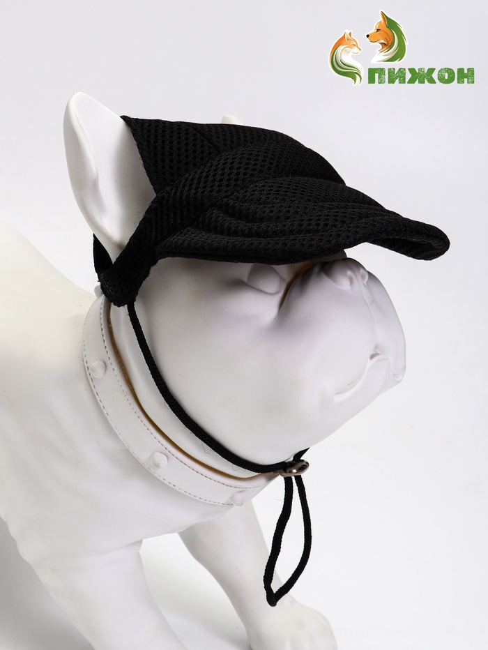 Кепка для собак и кошек, размер L, ОГ - 44 см, высота 13.5 см, чёрная - Фото 1