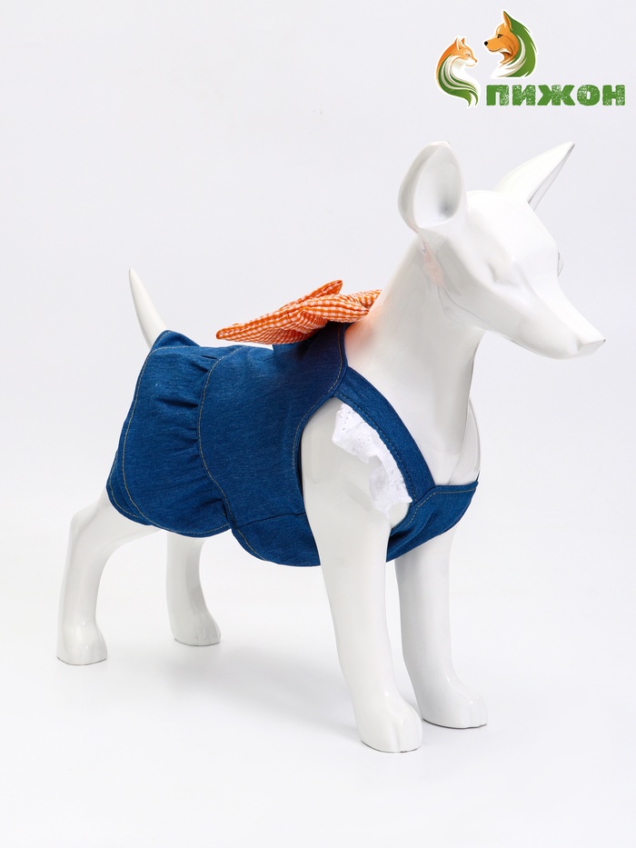 Платье для животных «Стиль», под джинсу, M, ДС 30, ОГ 40 см - Фото 1