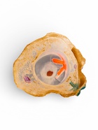 Декор для аквариума «Бутылка», 6×5.5×11.5 см  (артикул 10958499)  большой выбор товаров оптом и в розницу по низким ценам с доставкой