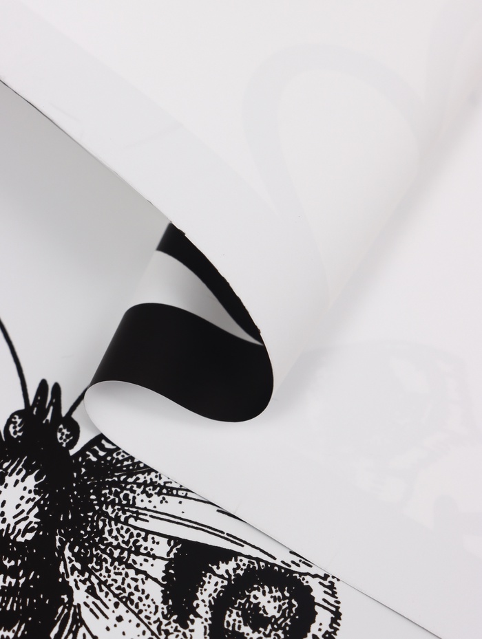 Плёнка флористическая для цветов «Бабочки и сердца», белый с чёрным, 57×57 см