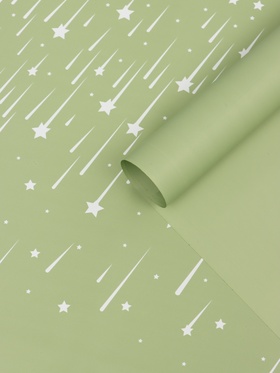 Пленка флористическая для цветов «Звездопад», нежно-зелёная, 57×57 см
