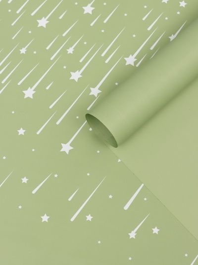 Пленка флористическая для цветов «Звездопад», нежно-зелёная, 57×57 см