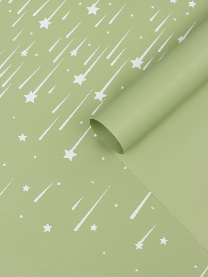 Пленка флористическая для цветов «Звездопад», нежно-зелёная, 57×57 см - Фото 1