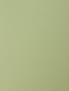 Пленка флористическая для цветов «Звездопад», нежно-зелёная, 57×57 см  (артикул 10949579)  большой выбор товаров оптом и в розницу по низким ценам с доставкой