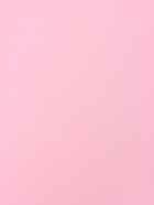 Пленка для цветов, «Цветы», розовая, 57×57 см (20 шт) - фото 809503730