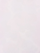 Пленка для цветов, «Розы», белая, 57×57 см  (артикул 10949602)  большой выбор товаров оптом и в розницу по низким ценам с доставкой