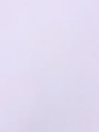 Пленка для цветов, «Розы», светло-фиолетовая, 57×57 см  (артикул 10949604)  большой выбор товаров оптом и в розницу по низким ценам с доставкой