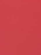 Пленка флористическая для цветов, «Полупрозрачная кайма», бордовая, 57×57 см  (артикул 10949619)  большой выбор товаров оптом и в розницу по низким ценам с доставкой