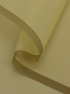 Пленка для цветов и букетов «Полупрозрачная кайма», оливковая, 57×57 см  (артикул 10949621)  большой выбор товаров оптом и в розницу по низким ценам с доставкой