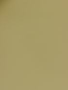 Пленка для цветов и букетов «Полупрозрачная кайма», оливковая, 57×57 см  (артикул 10949621)  большой выбор товаров оптом и в розницу по низким ценам с доставкой