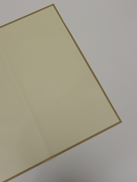 Пленка для цветов и букетов «Полупрозрачная кайма», оливковая, 57×57 см  (артикул 10949621)  большой выбор товаров оптом и в розницу по низким ценам с доставкой